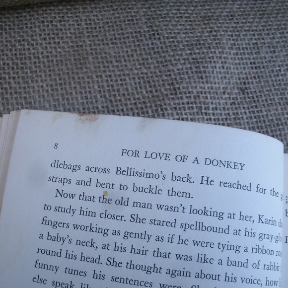 For Love of a Donkey by Betty Morgan Bowen - Picture 14 of 16